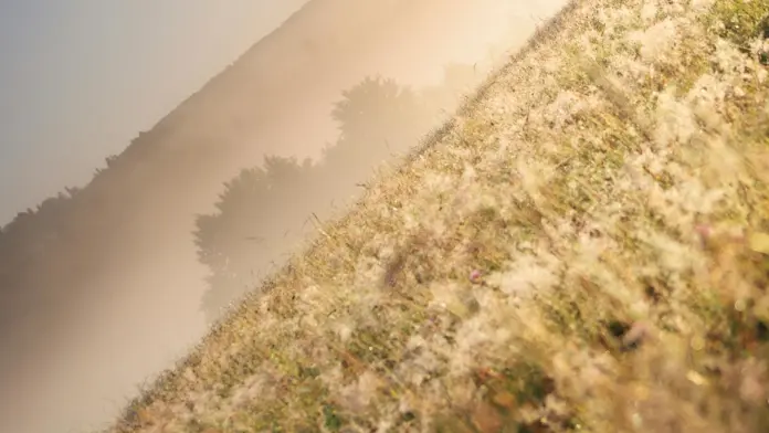 Apoio extraordinário ao sector agrícola