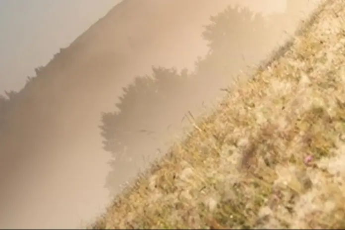 Nueva Directiva europea de Vigilancia y Resiliencia del Suelo