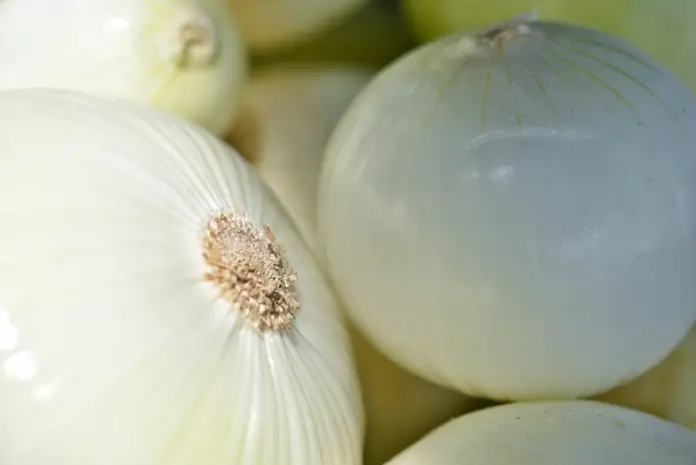 The official variety description suffices to demonstrate the distinctness of the variety