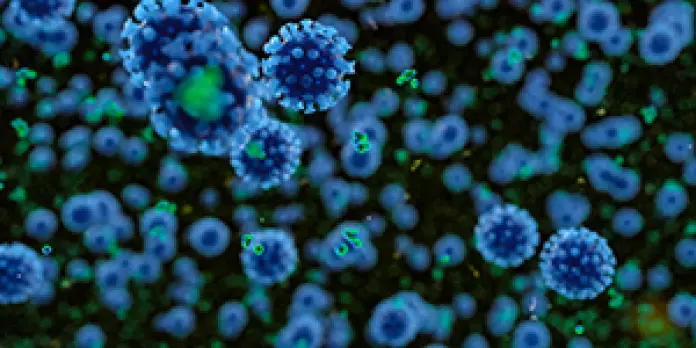 Sintomas, viagens, e regras a cumprir. 31 respostas sobre o novo coronavírus - Observador